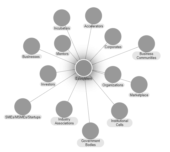 Business Startup Ecosystem